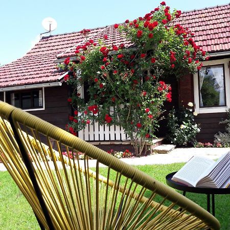 Wooden House Nela Near Plitvice Lakes Smoljanac Εξωτερικό φωτογραφία