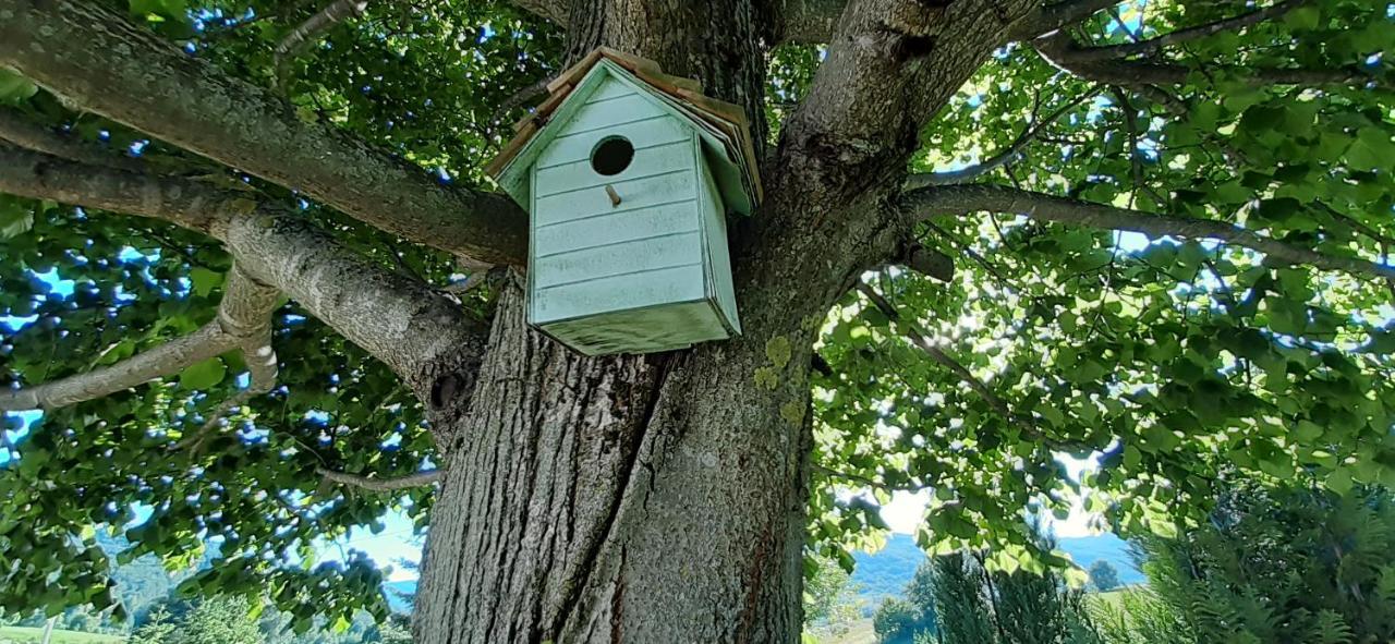 Wooden House Nela Near Plitvice Lakes Smoljanac Εξωτερικό φωτογραφία