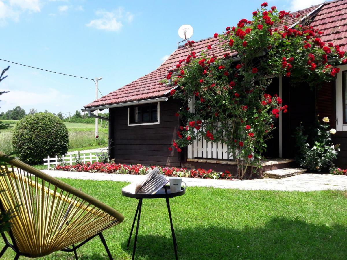 Wooden House Nela Near Plitvice Lakes Smoljanac Εξωτερικό φωτογραφία